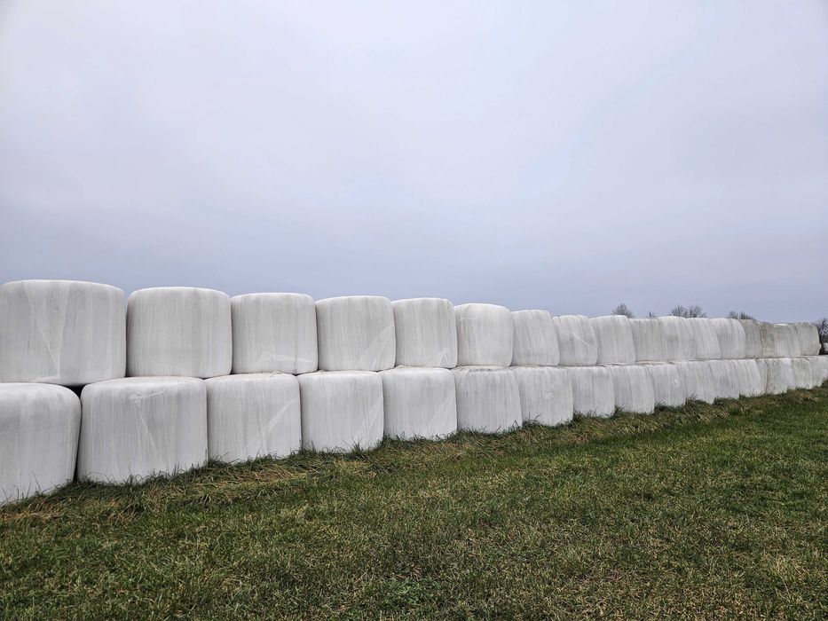 Sianokiszonka w belach, balotach