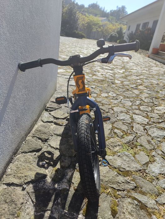 Scott Roxter 14 criança