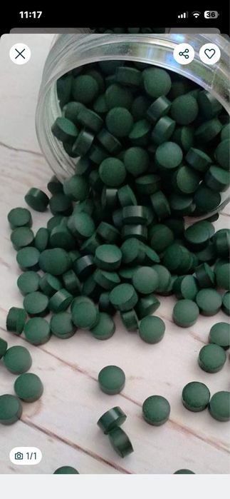 Спіруліна в таблетках 500 шт