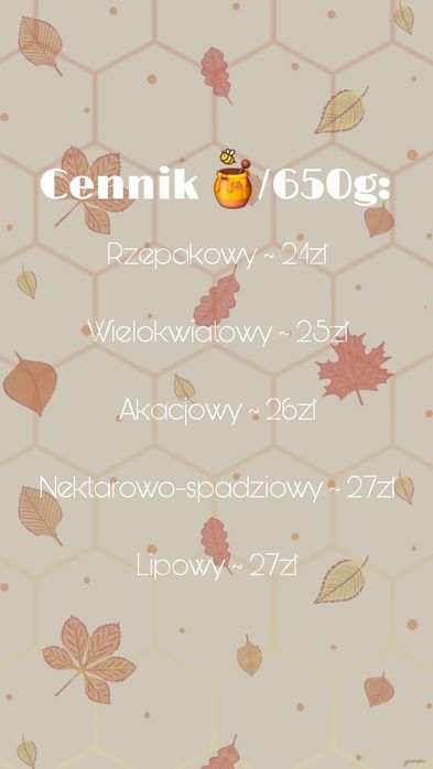 Miód pszeli z domowej pasieki, 650g/słoik