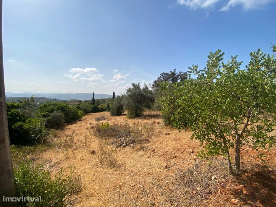 Lote de Terreno Rústico no Serro dos Passarinhos, Loulé, Algarve