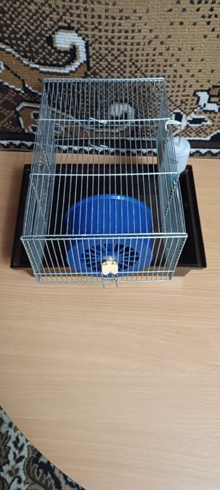 Клітка для хом'яка (колесо+поїлка)