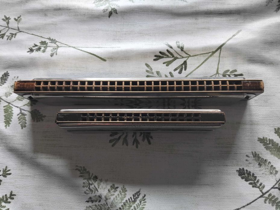 harmonijki hohner