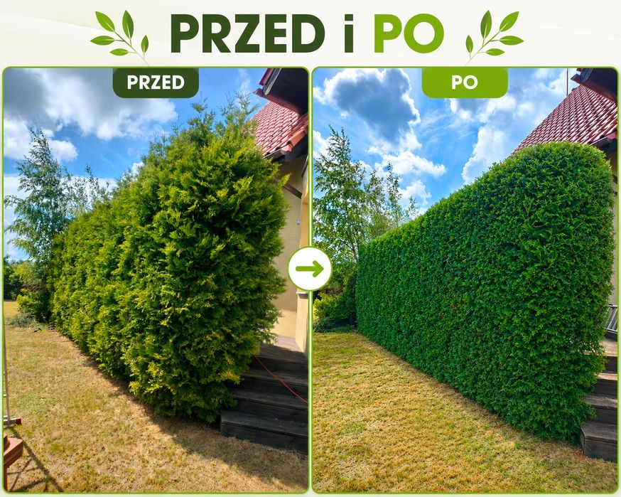Usługi  ogrodnicze oraz prace porządkowe
