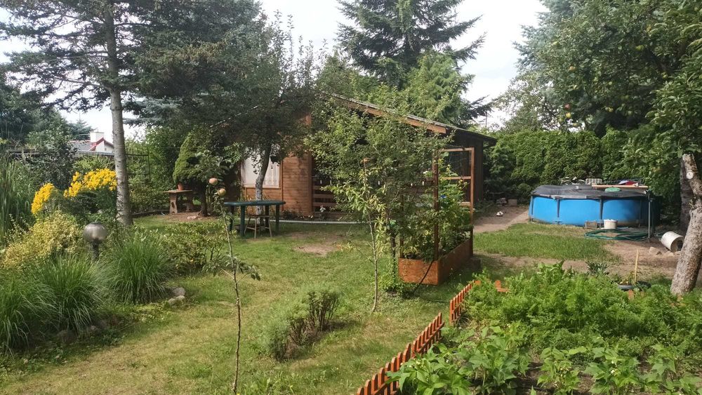 Działka ROD Głuszynka Poznań z domkiem