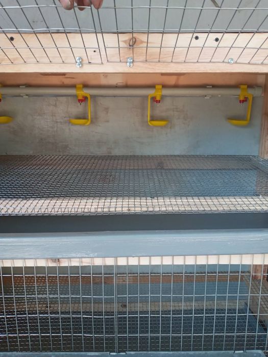 Клетка для перепелов