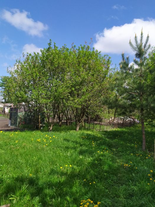 Продам будинок в с.Безруки р.Дергачи