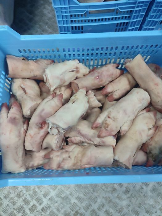 Костный остаток, кости