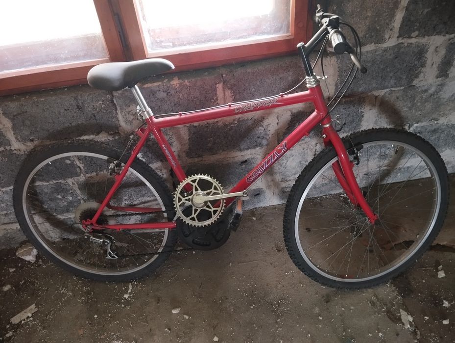 Rower męski Trapper Grizzly