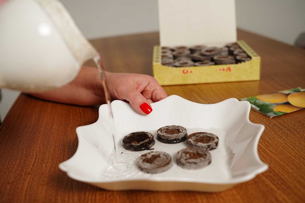 Тор`яні вироби від виробника