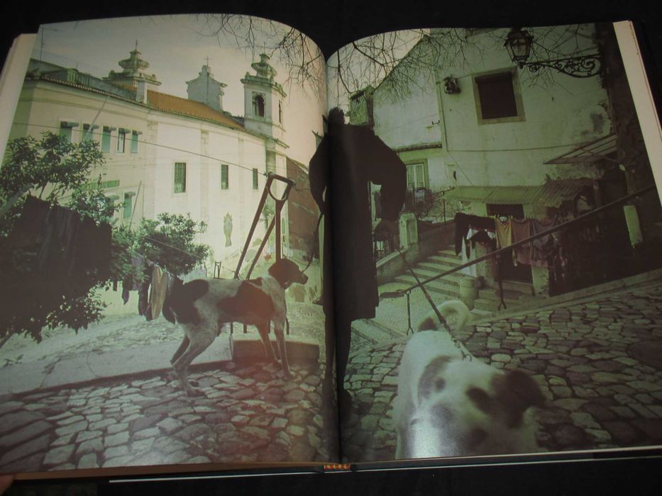 Livro Esta Lisboa Alice Vieira Caminho