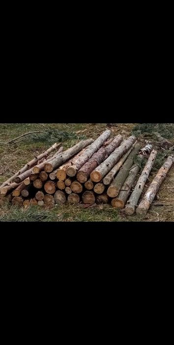Tanie drewno opałowe sosna gubin okolice