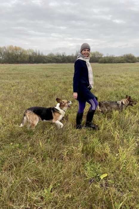 Domowa opieka nad psem, dyplomowany behawiorysta, hotel dla psa