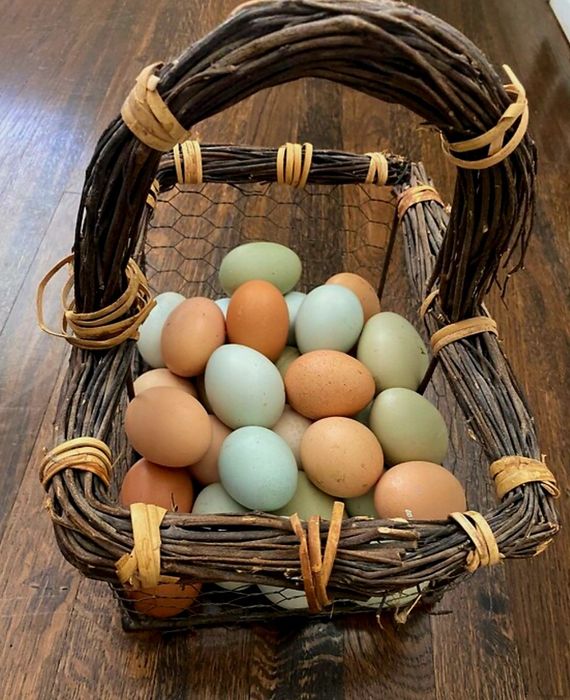 Jajka jaja naturalne ekologiczne jajka z wolnego wybiegu jajka