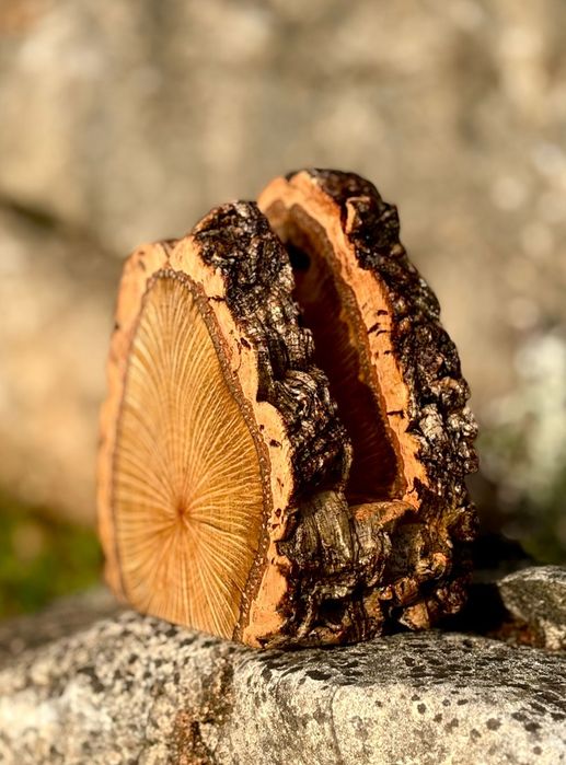 Guardanapeira em Madeira de Sobreiro e Cortiça