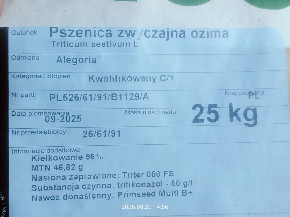 Pszenica ozima Alegoria rok po centrali