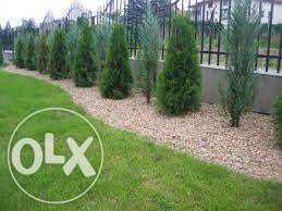 Sprzatanie, wycinka pielegnacja ogrodu koszenie usuwanie OS SZERSZENI