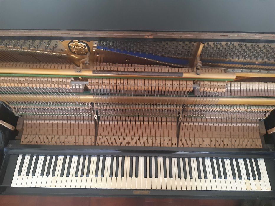 Piano Julius Blüthner