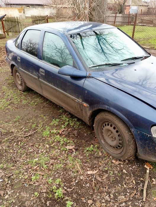 OPEl vecta b...    ...