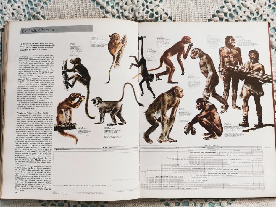 Animais da Terra