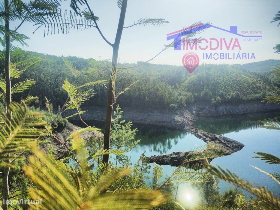 Terreno Florestal com 29000m2 - Alvares