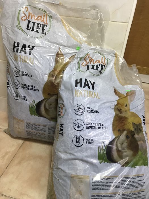 Gaiola porquinho da india