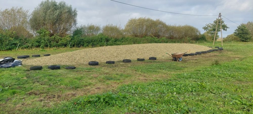 Sprzedam kiszonkę z kukurydzy