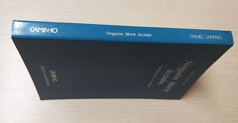 Ninguém Morre Sozinho de Daniel Sampaio.