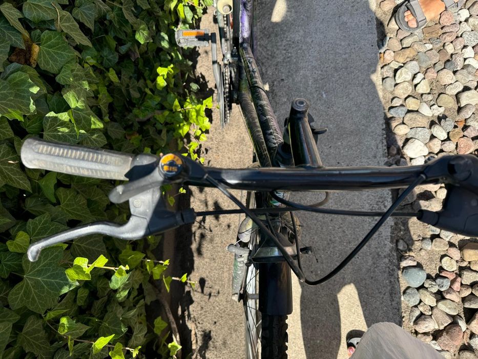 Rower EXTREMA 26"