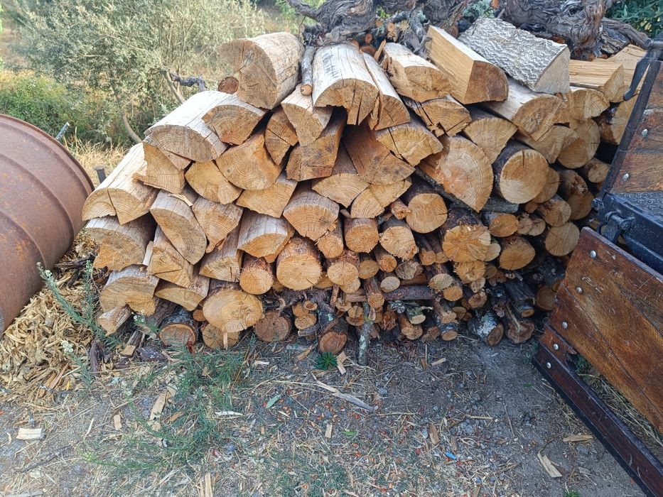 Vendo lenha com saca pinha oferta por m3