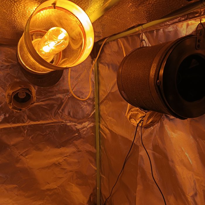 Growbox herbgarden zestaw gotowy do uprawy