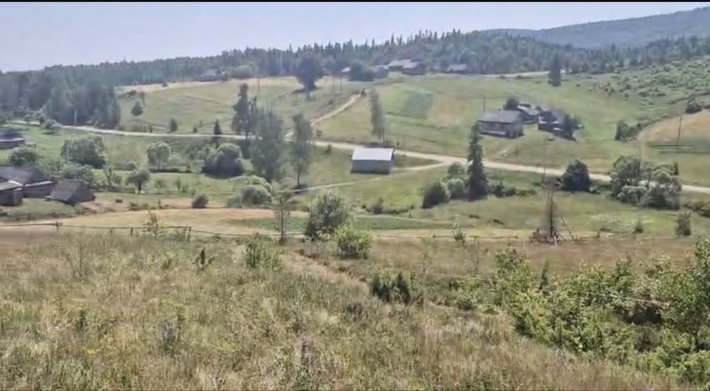 Земельна ділянка у Карпатах, біля Плаю, Криве