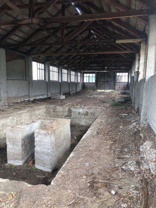 Здам складську базу 522 м² • 2 ангари • 43 сотки • Закарпаття