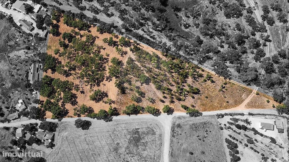 Terreno  para venda