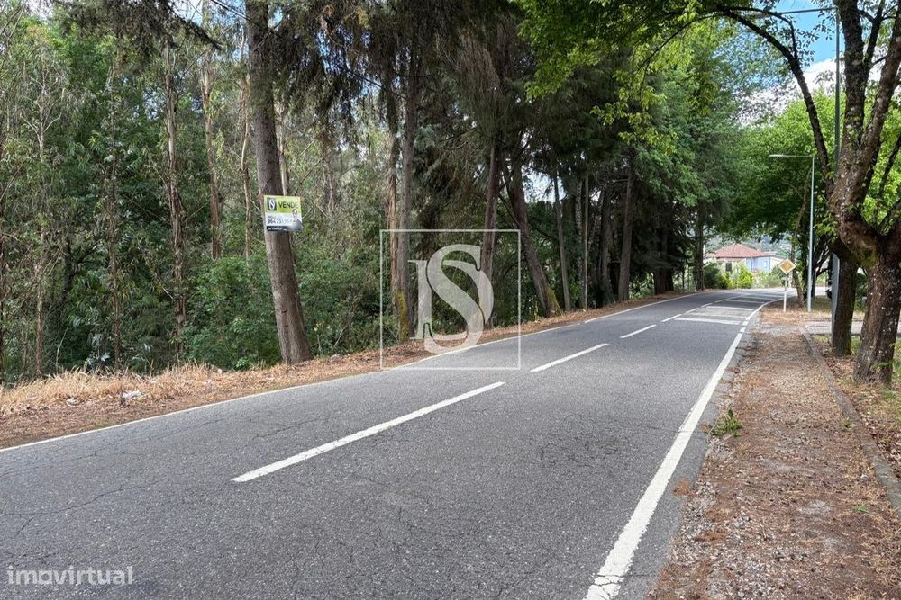 Terreno Rústico  Venda em Faíl e Vila Chã de Sá,Viseu