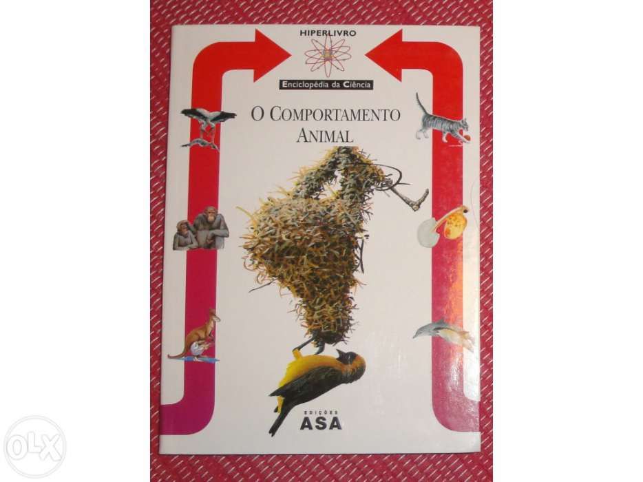 Livros juvenis (aventuras e outros)