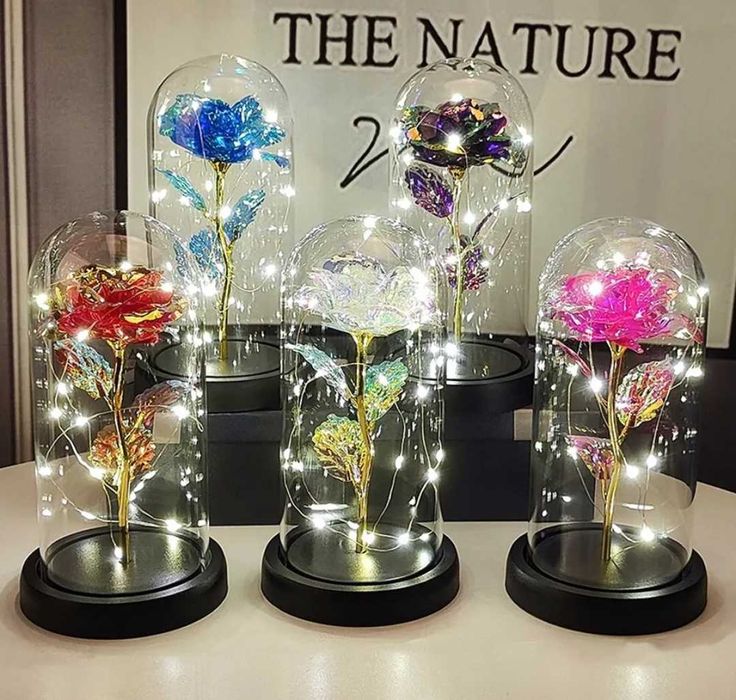 Nowa róża świecąca