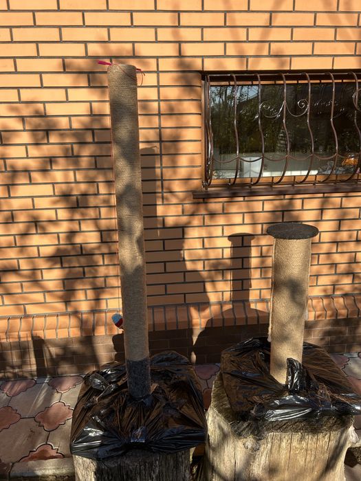 Кігтеточки, когтеточка.