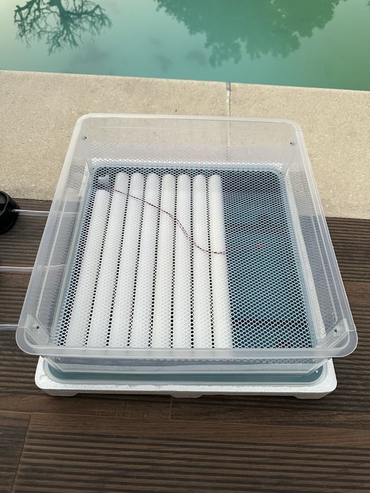 Chocadeira automática ovos de galinha coderniz patos