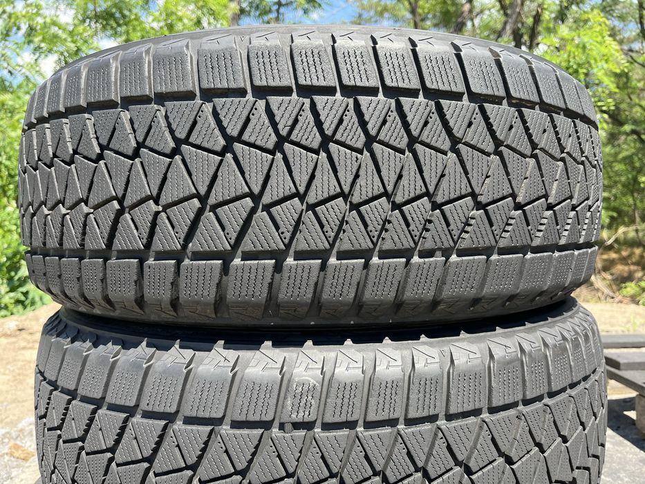 Шини 225/55 R18 Bridgestone Blizzak DM-v2 2 зимові гуми