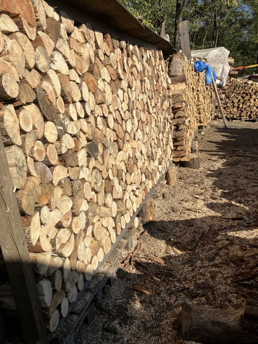 Suche Drewno Drzewo  opałowe