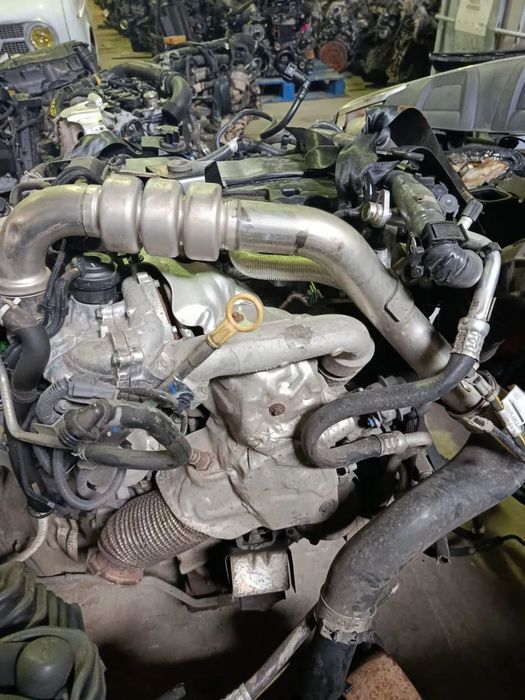 Motor Nissan Navara 2.3 DCi REF: YS23 C270