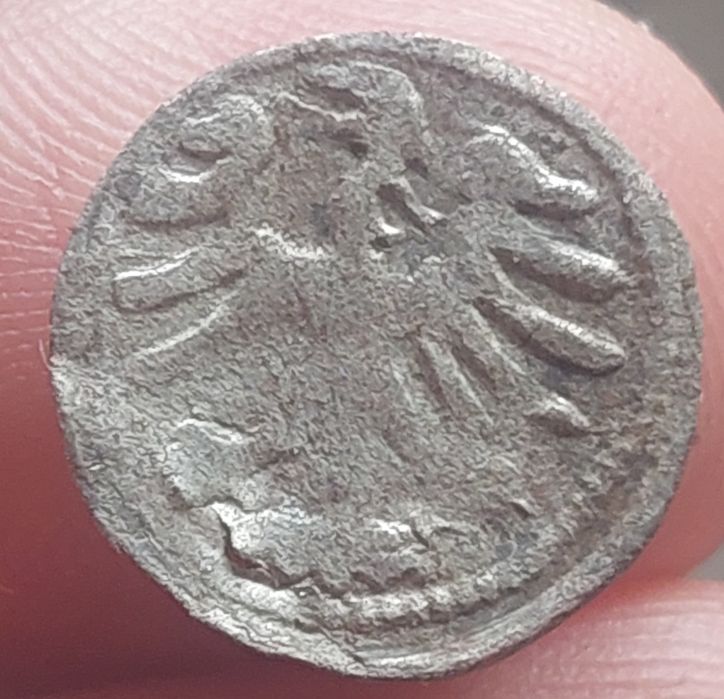 Denar 1501 - 1506 r. Wilno, Aleksander Jagiellończyk