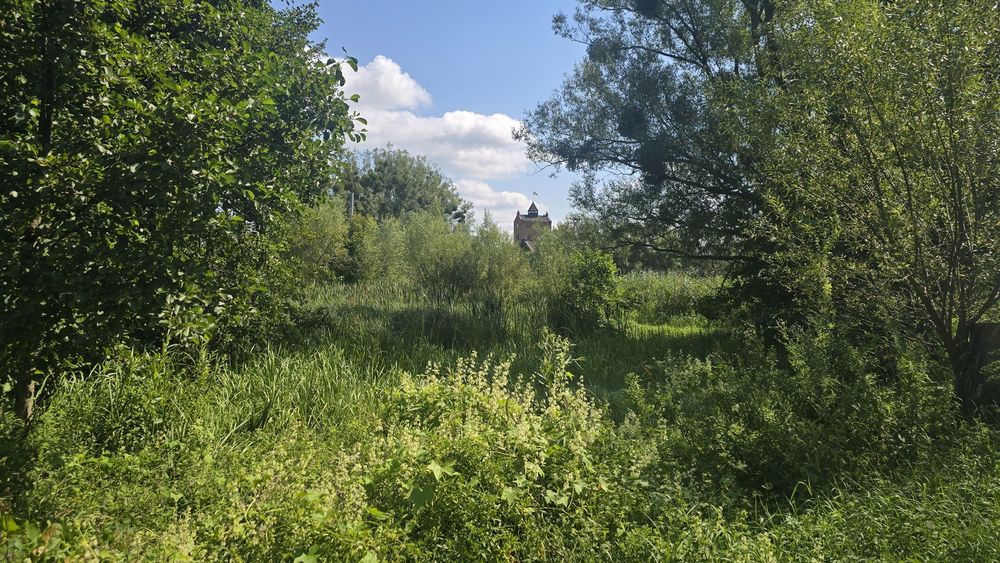 Продаж ділянки 63сот. з видом на озеро та замок Радомисль (Радомишль)
