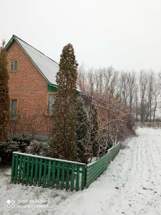Будинок, дача під бджільництво
