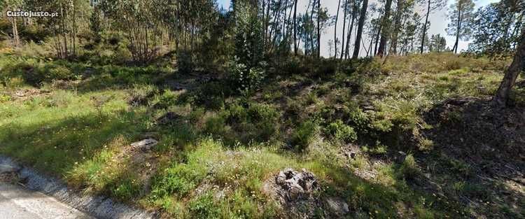 Terreno rústico 500m do rio Zêzere