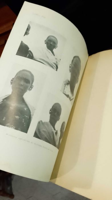 La Sociedad Española de Antropologia, Etnografia y Prehistoria