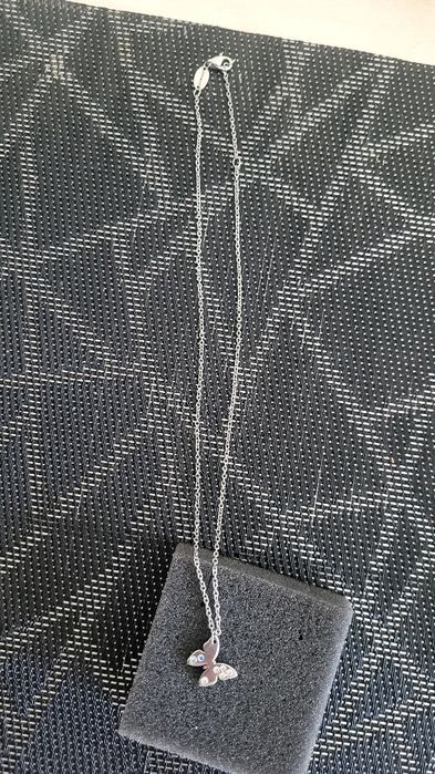 Fio Prata Nomination