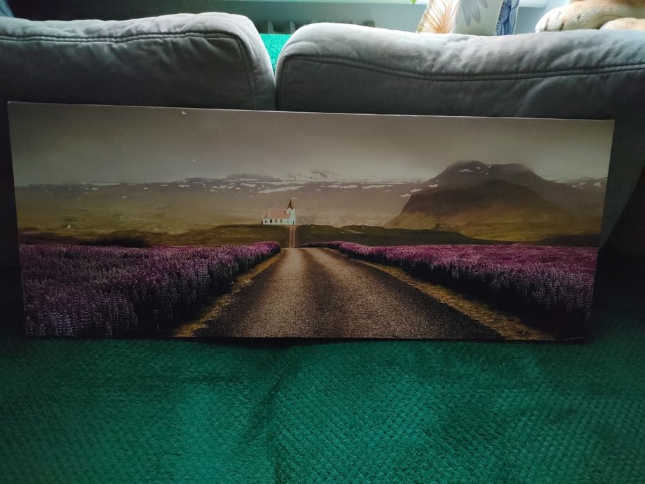 Oferuję duży obraz na płótnie