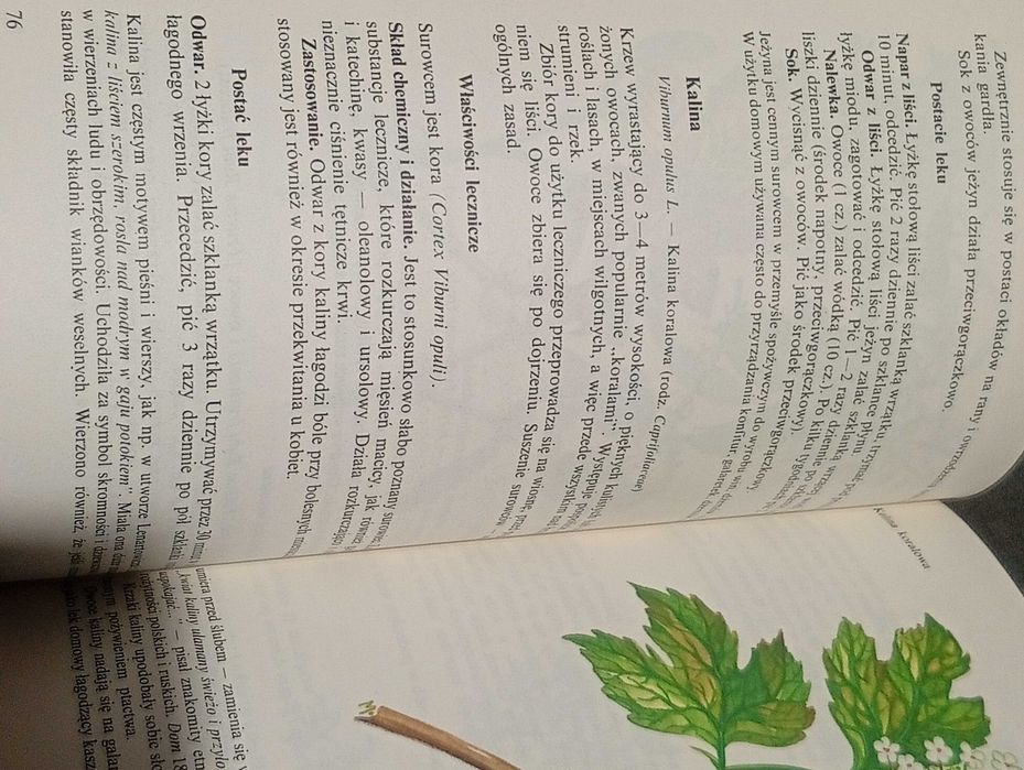 Zioła i ich zastosowanie Kuźnicka, Dziak